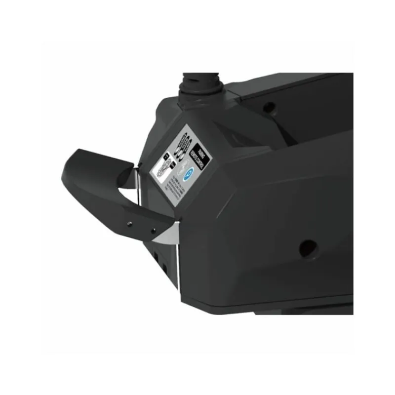 Haswing Moteur Électrique Cayman B Gps 12Lbs 36V Noir Version 1.6