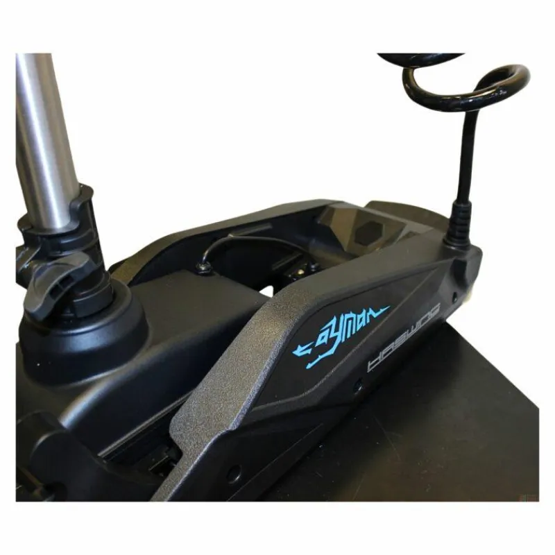 Haswing Moteur Électrique Cayman B Gps 12Lbs 36V Noir Version 1.6