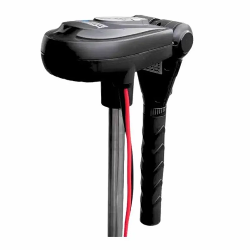 Haswing Moteur Électrique Protruar 3.0 110Lbs 24V