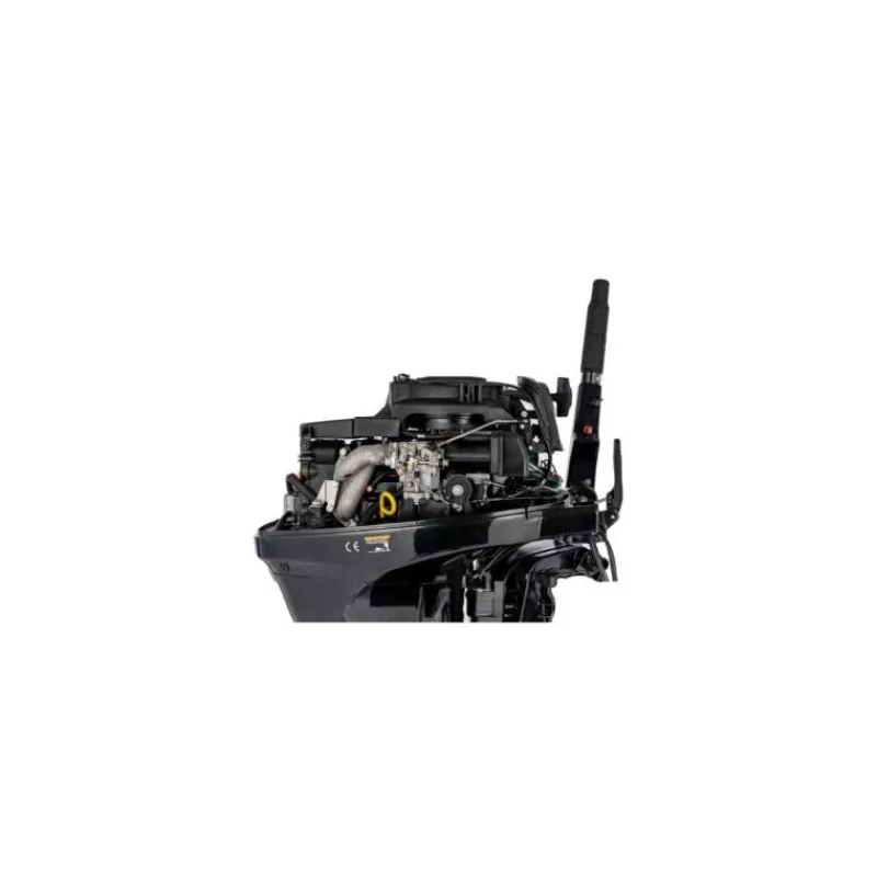 Parsun Moteur Thermique F15abms-Efi 15Cv Arbre Court Barre Franche
