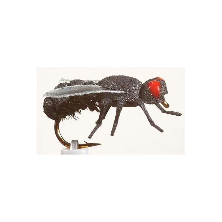 Mouche Jmc De Maison