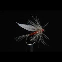 JMC Mouche Ephémères Ornans 24 Bl