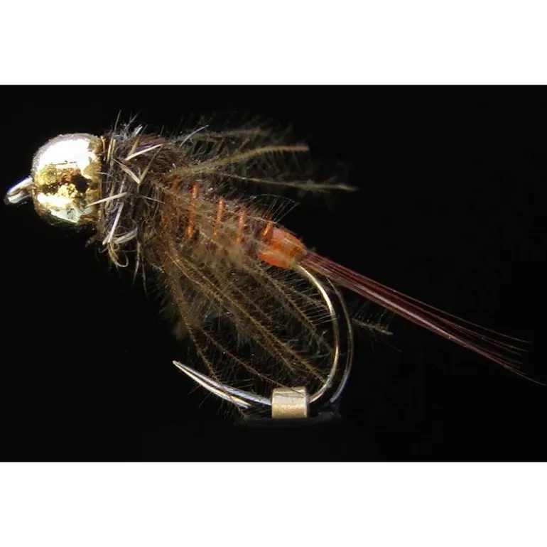Mouche Jmc Ntd 431 Or
