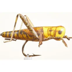 JMC Mouche Sauterelle 24