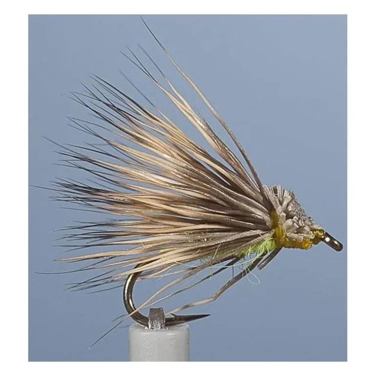 Mouche Jmc Sedge Enrochement Cul Vert
