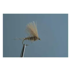 Mouche Tof Émergente Oreille De Lievre