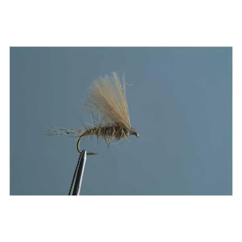 Mouche Tof Émergente Oreille De Lievre