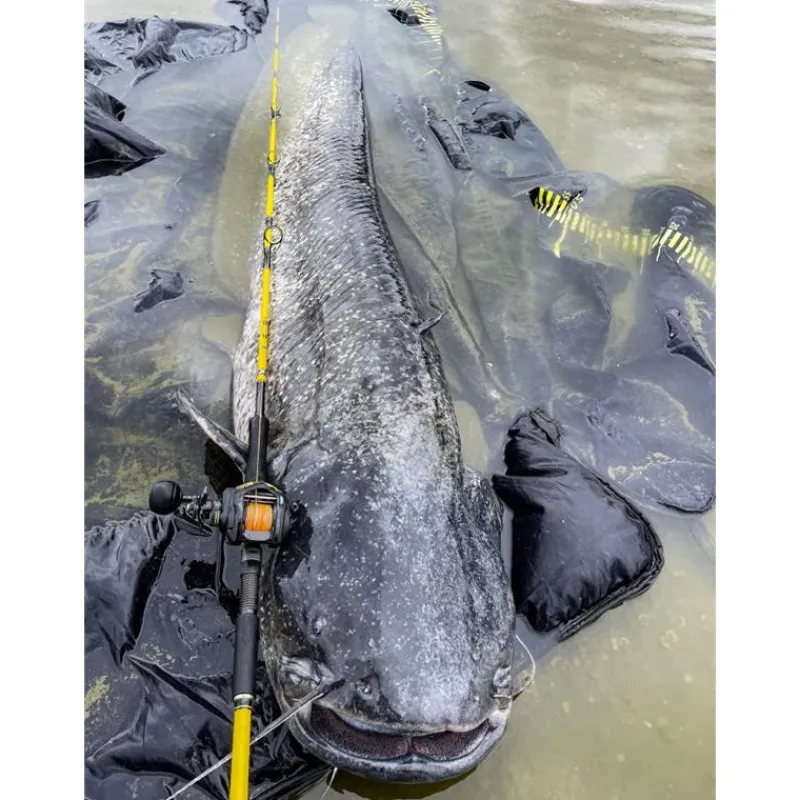 Black Cat Moulinet Casting Cast 301 Lh