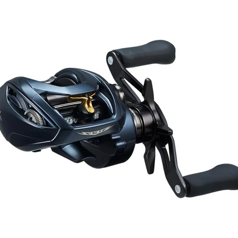 Daiwa Moulinet Casting Steez A2 Tw 2023