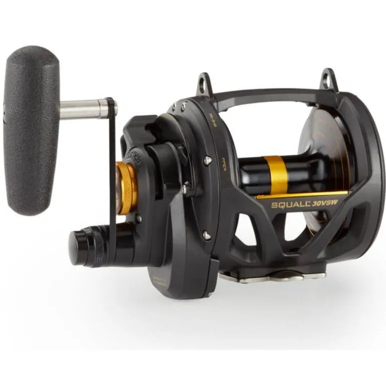 Moulinet Mer Traine Penn Squall Lever Drag 2 Speed