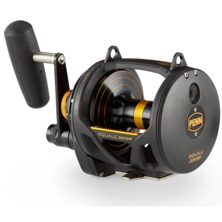Moulinet Mer Traine Penn Squall Lever Drag 2 Speed