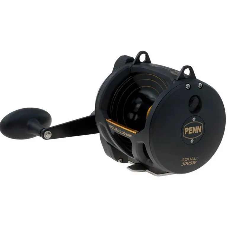 Moulinet Mer Traine Penn Squall Lever Drag 2 Speed