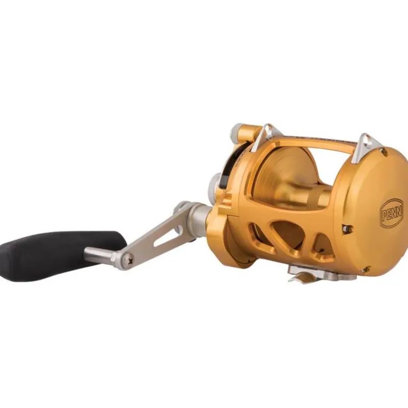 Penn Moulinet Traine International Vi - Vw Single Speed Gold