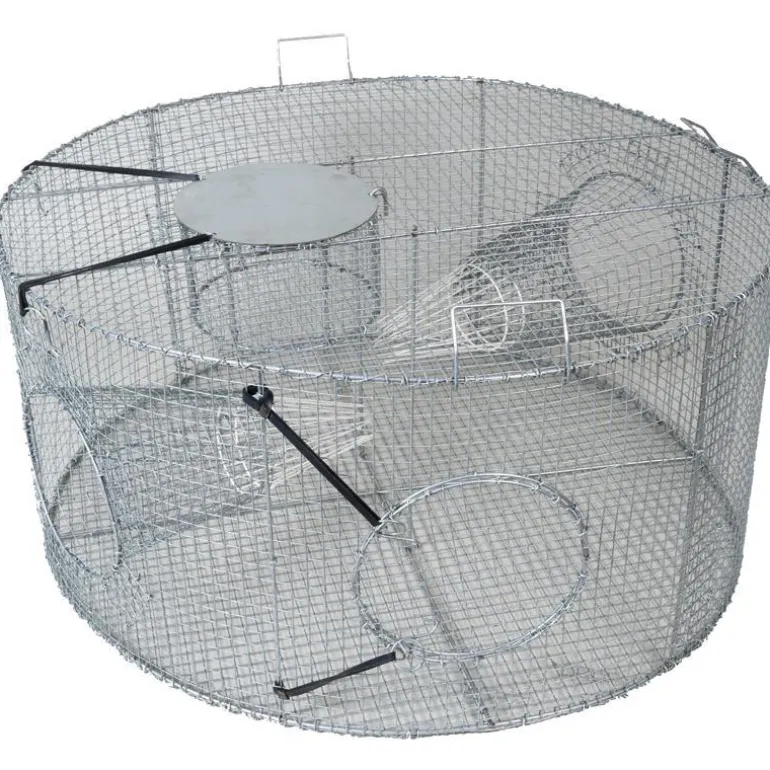 Nasse A Poissons Catfish Cylindrique