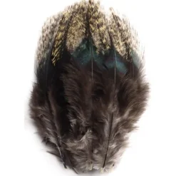 Plumes De Coq Pardo Devaux