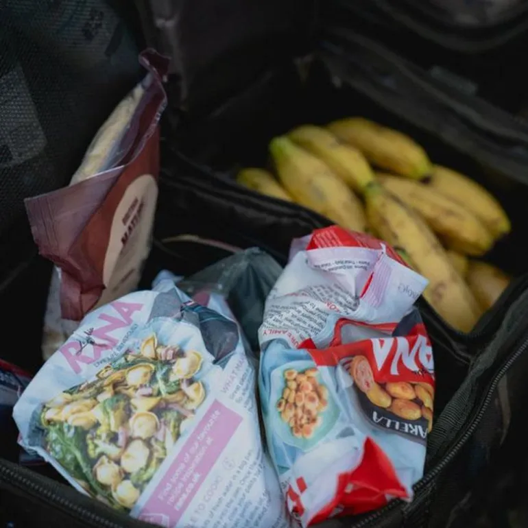 Sac Isotherme Nash Subterfuge Food Bag