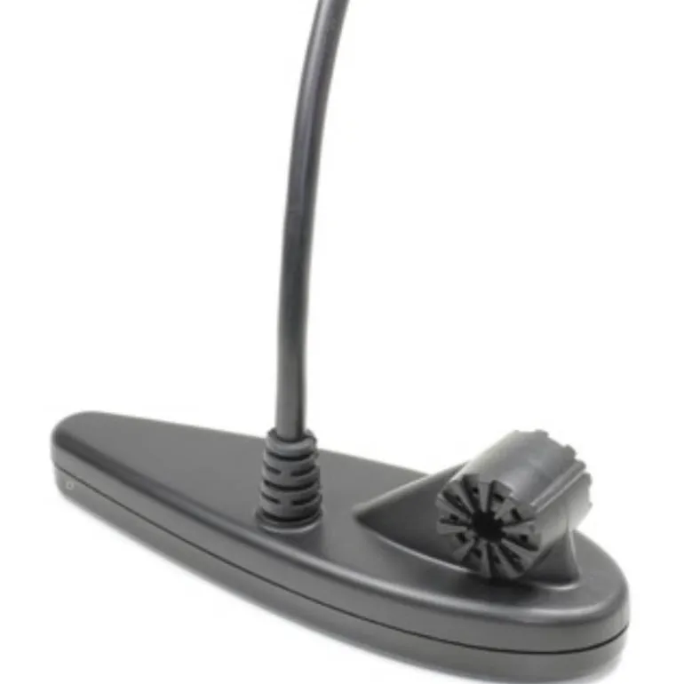 Sonde Tri-Faisceaux Humminbird Down Imaging