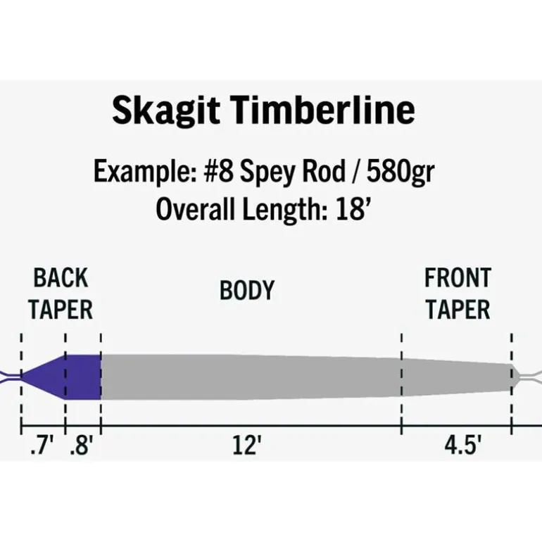 Tête De Lancer Rio Skagit Ambassador Series Gray Struznik