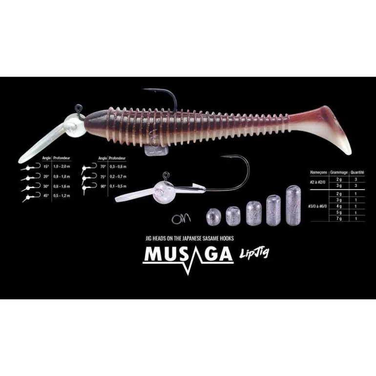 Tête Musaga Lipjig