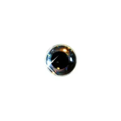 Delalande Yeux 3D